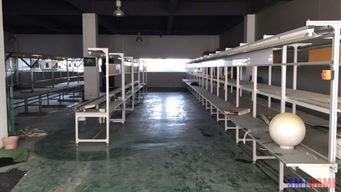 制造业升级与软件开发融合 郑州电子厂自动化与扬州软件开发的协同发展