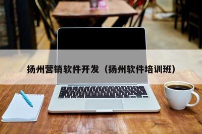 扬州营销软件开发 本地网络技术服务的利器与实践指南