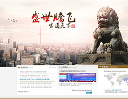 福州掌控软件开发